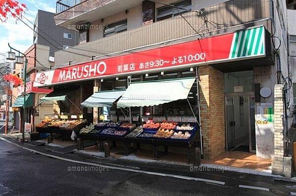 【周辺】MARUSHO若葉店 徒歩8分。スーパー 580m