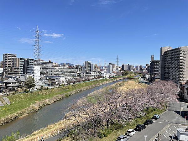 【周辺】◆天白川がみえます◆春は桜が鑑賞できます（2022.3.27撮影）