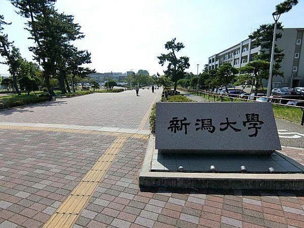 【周辺】新潟大学五十嵐キャンパス正門(大学・短大)まで580m