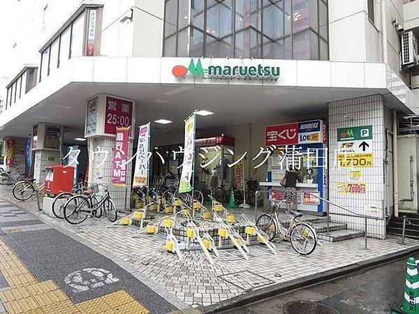 【周辺】マルエツかまた店 徒歩9分。スーパー 700m