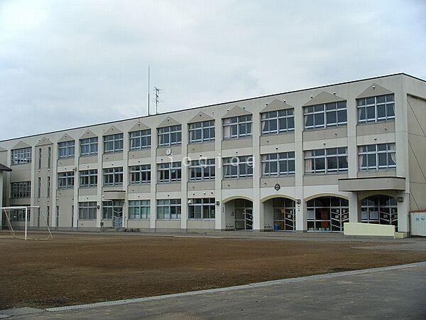 【周辺】函館市立亀田小学校517