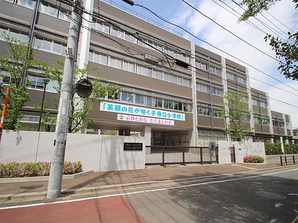 【周辺】川崎市立子母口小学校（913m）