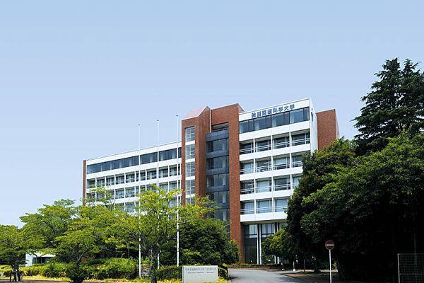 【周辺】鈴鹿医療科学大学　白子キャンパス