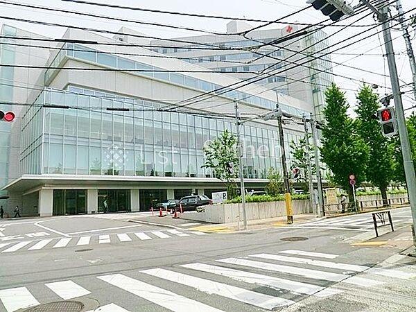 【周辺】日本赤十字社医療センター 徒歩11分。 860m