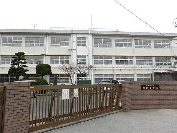 【周辺】塔野小学校(400m)