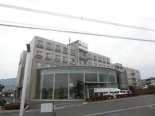 【周辺】大平メディカルケア病院(788m)