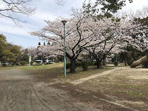 【周辺】荒子公園春は梅園や桜の木が賑やかで、グランドもあり、お弁当持参の家族連れも多いです。 390m