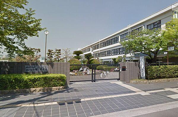 【周辺】【小学校】姫路市立白鷺小学校まで985ｍ