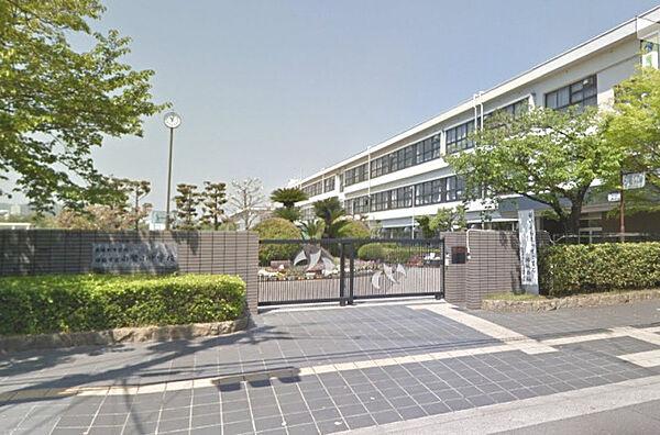 【周辺】【中学校】姫路市立白鷺中学校まで275ｍ