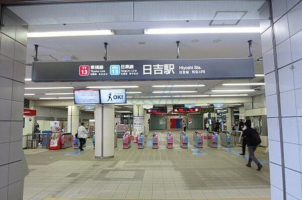 【周辺】【駅】日吉(神奈川県)まで1219ｍ