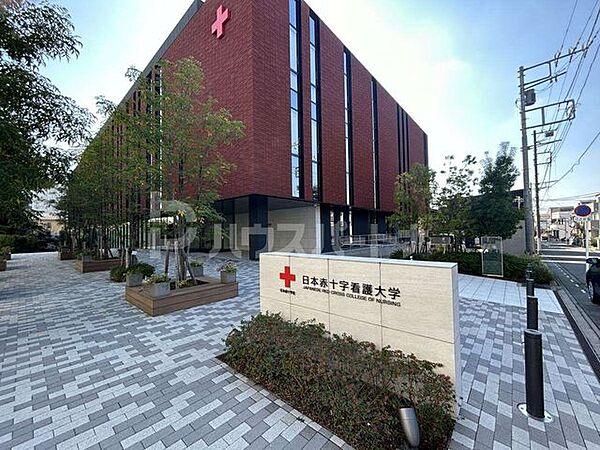 【周辺】私立日本赤十字看護大学さいたま看護学部 徒歩29分。 2250m