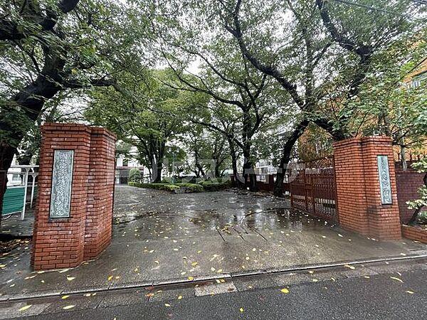 【周辺】私立国際学院埼玉短期大学 徒歩13分。 990m
