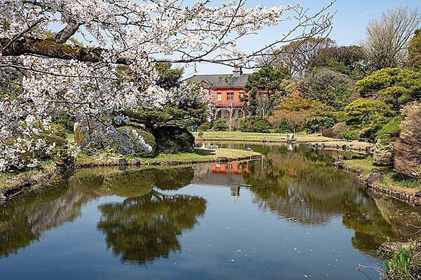 【周辺】四季折々の自然を楽しめる「小石川植物園」約1100m