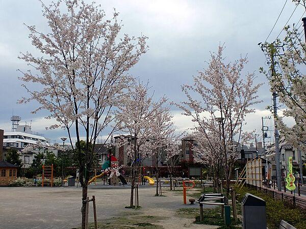 【周辺】豊島区立染井よしの桜の里公園　徒歩7分です。