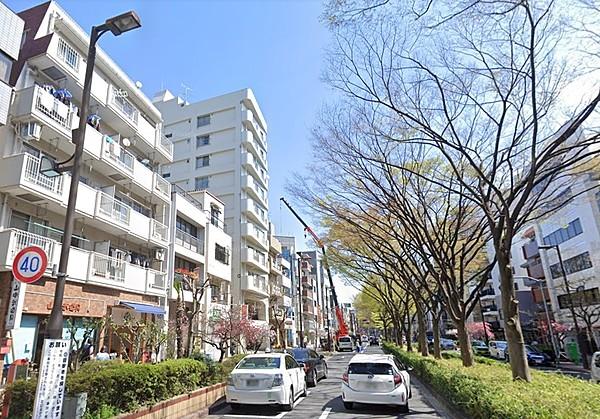 【外観】ケヤキ並木の早大通り沿いの立地。早稲田大学が近い為お店も多くあります。