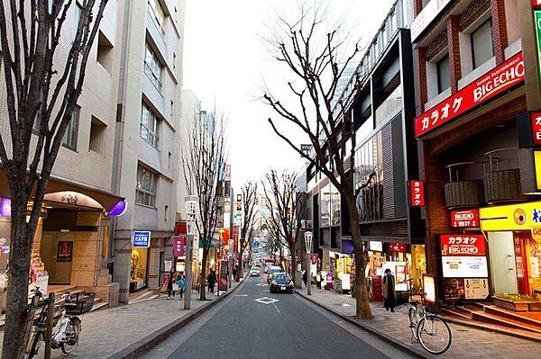 【周辺】神楽坂通り商店街　徒歩10分です。