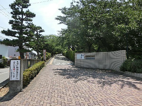 【周辺】静岡県立浜松西高校（289m）