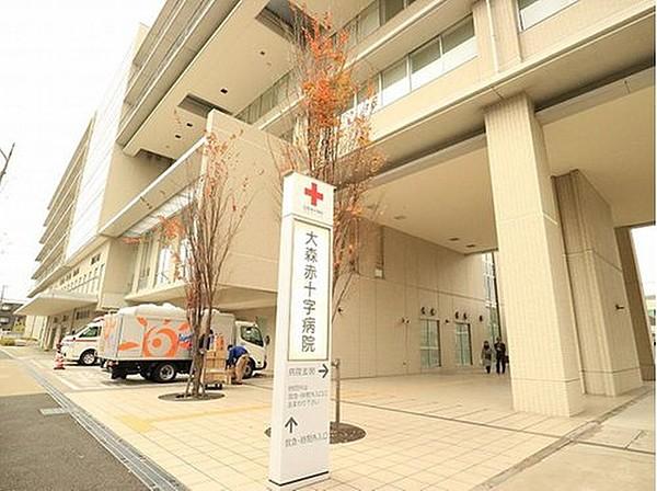 【周辺】日本赤十字社東京都支部大森赤十字病院まで1089m 日本赤十字社東京都支部が設置する病院である。武蔵野赤十字病院に次いで、東京都支部2ヶ所目の病院として、1953年7月に開設された。