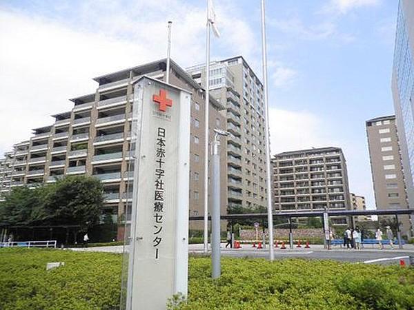 【周辺】日本赤十字医療センターまで900m バス停留所の前には推定樹齢500年、周囲が4.7メートル以上で区内最大となる大銀杏があり、渋谷区の天然記念物に指定された。
