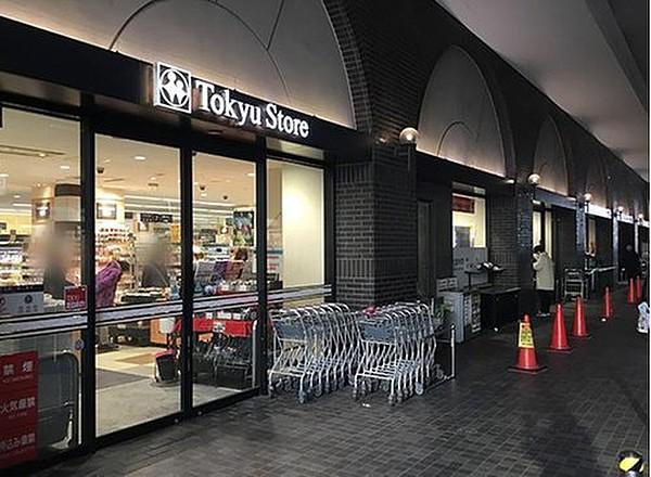 【周辺】東急ストア蒲田プラザ店まで320m。東京急行電鉄子会社のスーパーマーケットチェーン。新鮮な野菜、おいしいお惣菜があります。