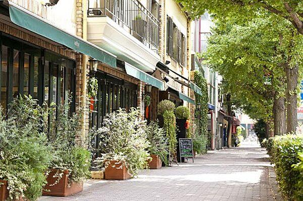 【周辺】イチョウ並木沿いにおしゃれなカフェ、レストラン、ショップが立ち並ぶ「プラチナ通り」が徒歩圏内♪休日のお散歩も楽しくなりそうです。