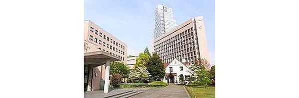 【周辺】聖路加国際病院まで411m 研修医の初期臨床研修施設としても知られ、虎の門病院など並んで日本で最も医学生の人気の高い研修先のひとつとなっています。