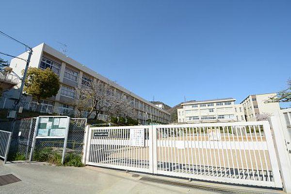 【周辺】【小学校】神戸市立鶴甲小学校まで1053ｍ