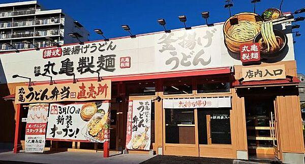 【周辺】丸亀製麺ニトリ成増店 徒歩8分。 590m