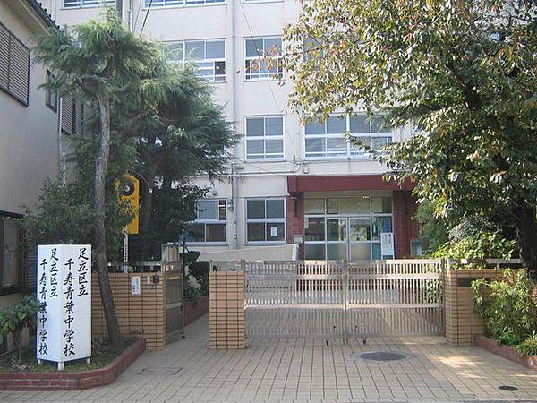 【周辺】足立区立千寿青葉中学校 徒歩16分。 1230m