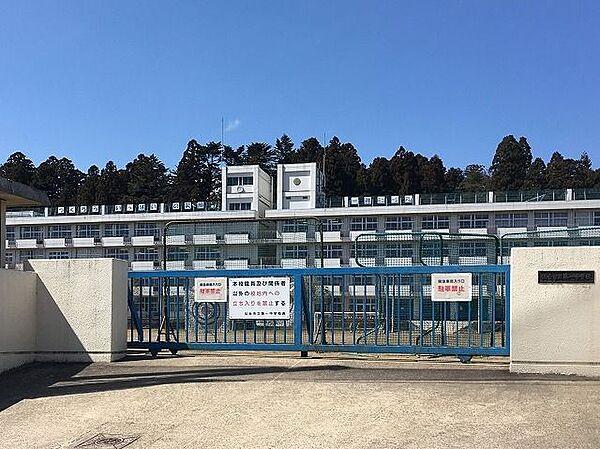 【周辺】仙台市立第一中学校 徒歩17分。 1350m