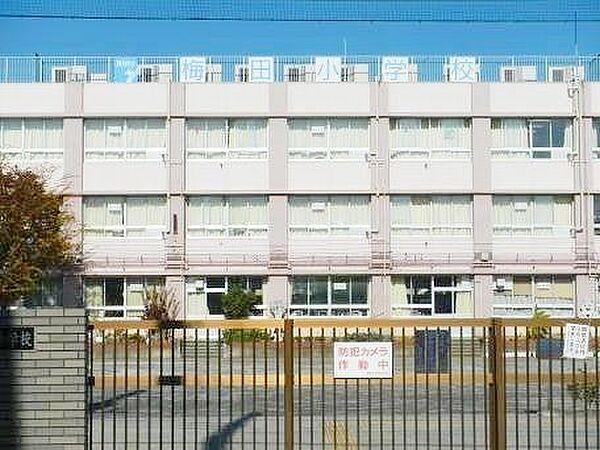 【周辺】葛飾区立梅田小学校 徒歩5分。 390m