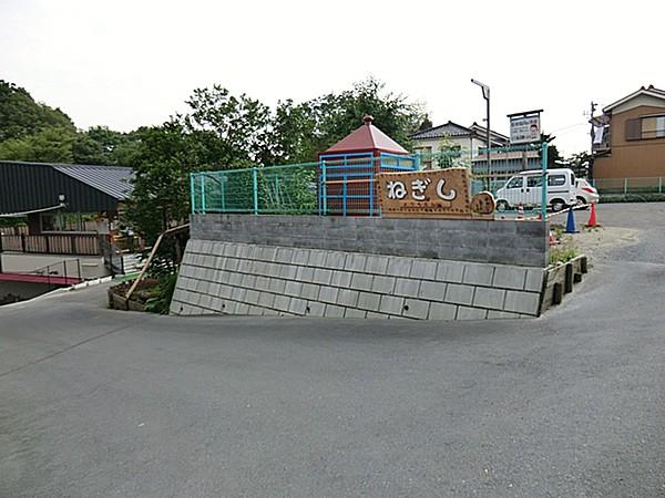 【周辺】根岸幼稚園　約583m（徒歩8分）