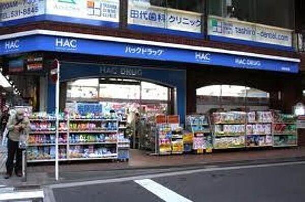 【周辺】ハックドラッグ綱島店 85m