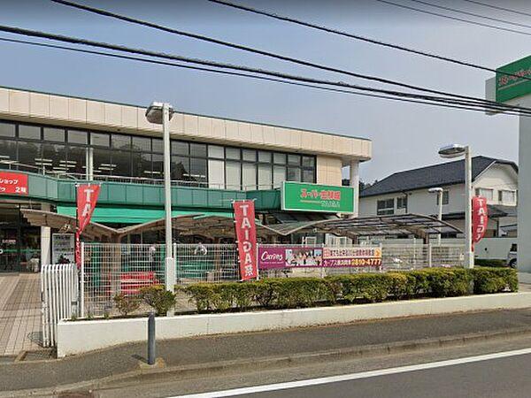 【周辺】スーパー生鮮館TAIGA岡津店：1000ｍ（徒歩13分）