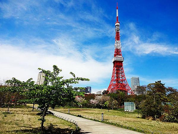 【周辺】周辺環境:周辺の街並み 約800m 東京タワー  