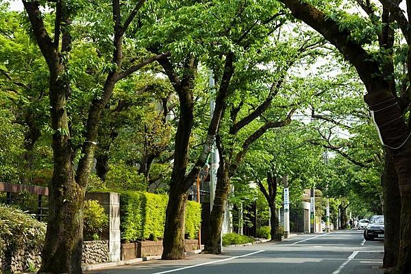 【周辺】街路樹や生垣の緑が美しい邸宅エリア「成城学園前」駅より徒歩圏の立地。