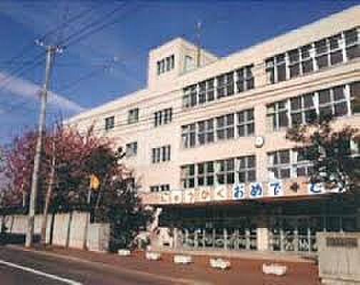 【周辺】小学校札幌市立南白石小学校まで159ｍ
