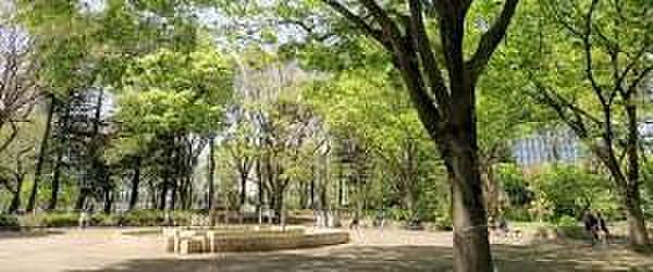 【周辺】【公園】駒込東公園まで1217ｍ