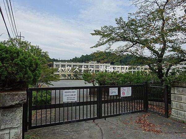 【周辺】青梅第四小学校四季を通じて野鳥の声が聞こえる、花々に囲まれた校舎 707m