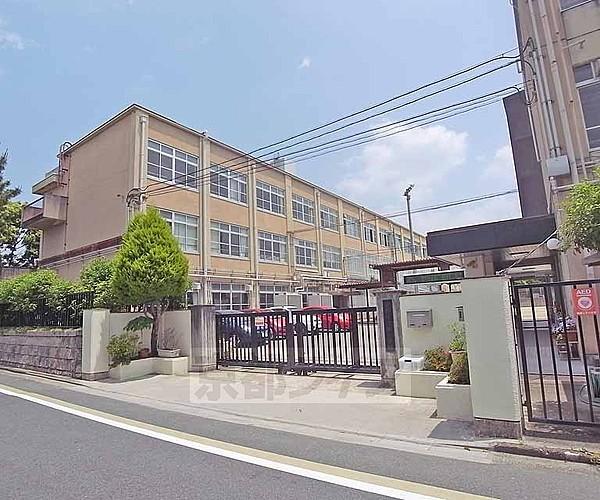 【周辺】葵小学校（下鴨東梅ノ木町）まで533m