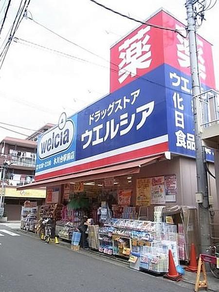 【周辺】ウエルシア氷川台駅前店 948m