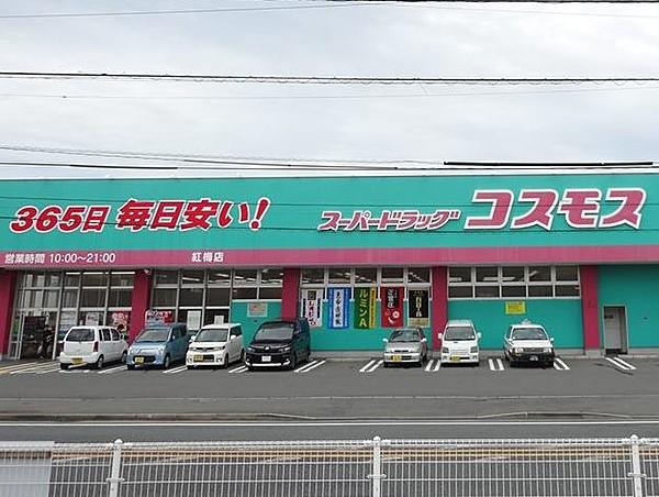 【周辺】コスモス紅梅店（401m）