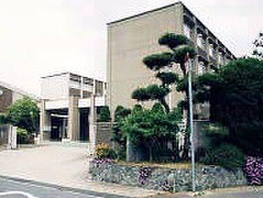 【周辺】【中学校】神戸市立星和台中学校まで1236ｍ