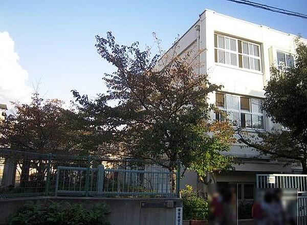 【周辺】神戸市立本山第一小学校（610m）