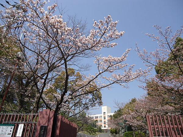 【周辺】【中学校】神戸市立横尾中学校。まで1338ｍ