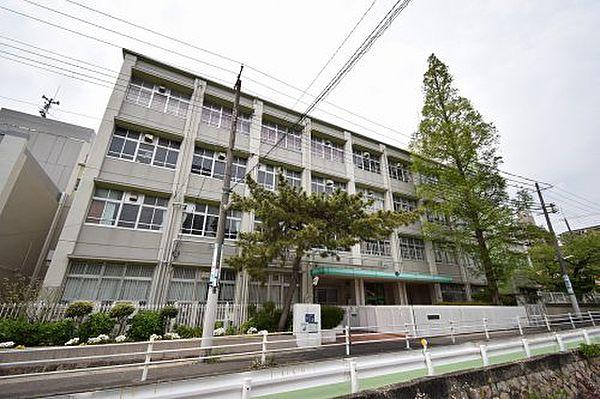 【周辺】【小学校】神戸市立御影小学校まで769ｍ