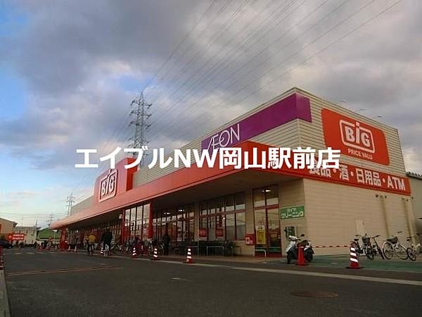 【周辺】ザ・ビッグ奥田南店 1188m