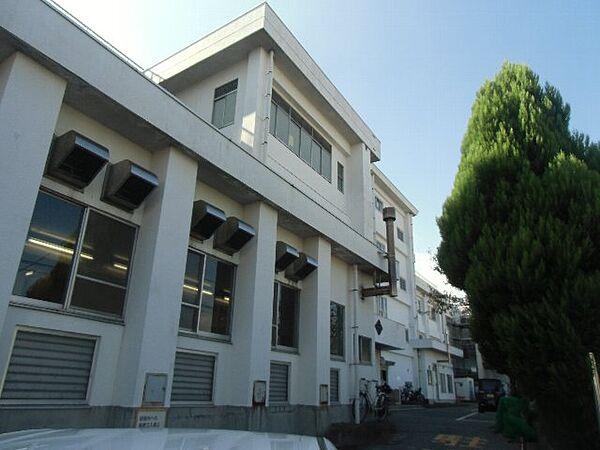 【周辺】【小学校】横須賀市立衣笠小学校まで534ｍ