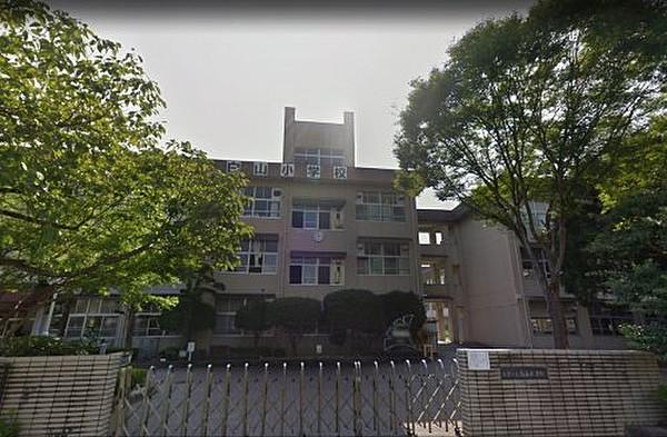 【周辺】【小学校】熊本市立白川小学校まで260ｍ