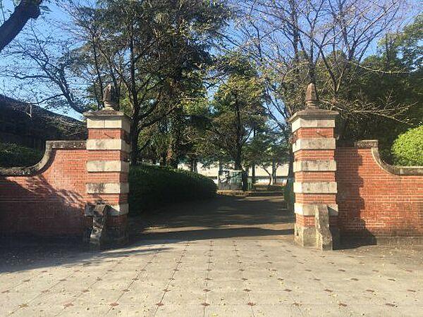 【周辺】【大学】国立熊本大学医学部まで327ｍ